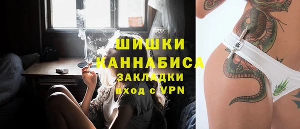 дмт Елабуга