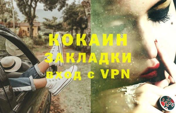 прущий лед Алзамай