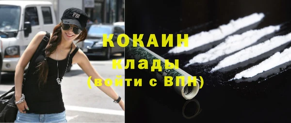 СК Елизово