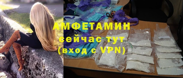 прущий лед Алзамай