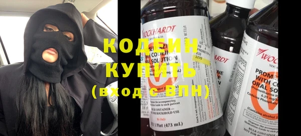 прущий лед Алзамай